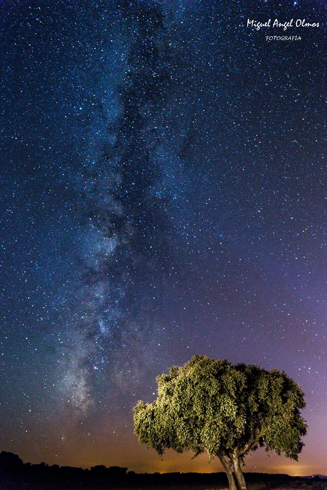 22195704_1924119674270015_2769452266384114437_n