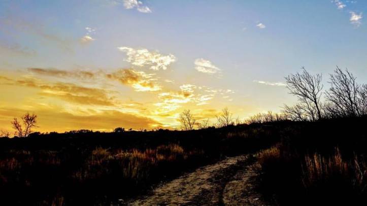 22528271_10155047671426238_5399680354162645579_n