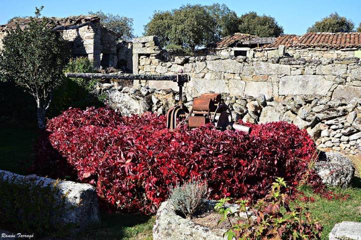 22730246_1810841112262940_1889983776504471737_n