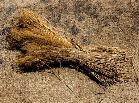 piñerino, escoba usada en el noroeste de españa para limpiar paredes antes de encalar o quitar ceniza de la chimenea