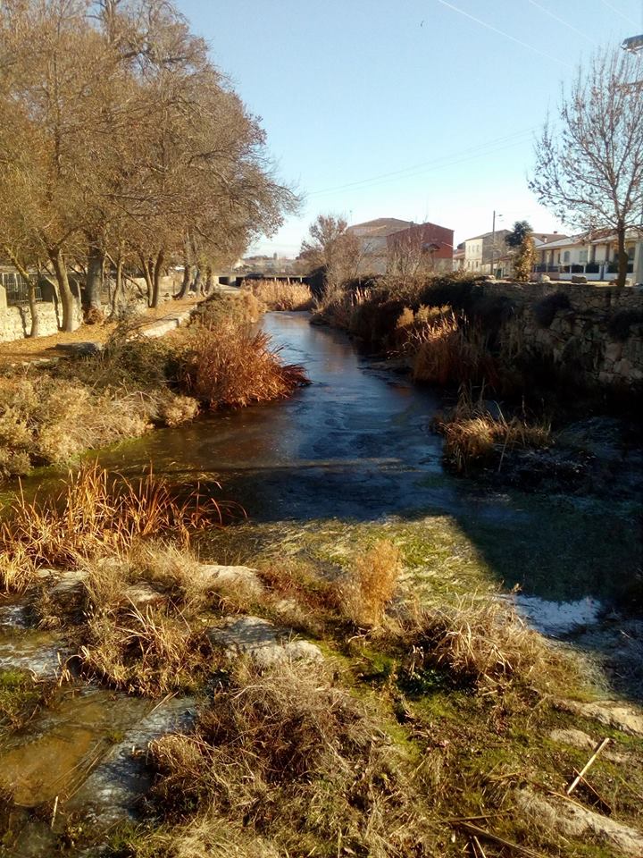 24231777_1971691866489006_6051719000222018127_n