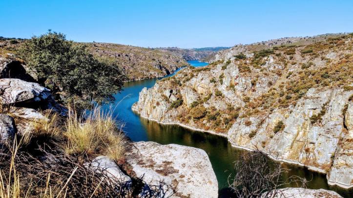 24740067_10155154230941238_8790278_o