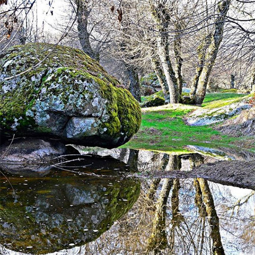 moralina_rivera_instagram_mon_tarrago