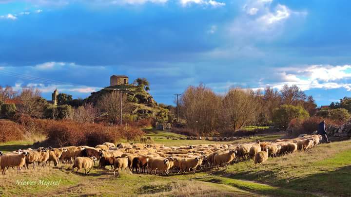 Foto de Nieves M. en Facebook