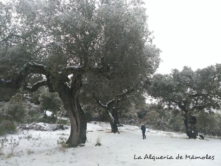 28277345_914862002021427_7331188728342286240_n