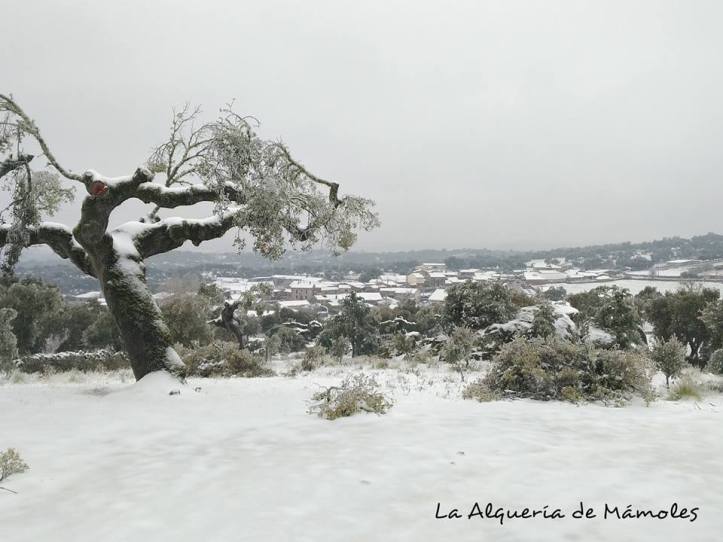 28471370_914861875354773_3132751947421423027_n