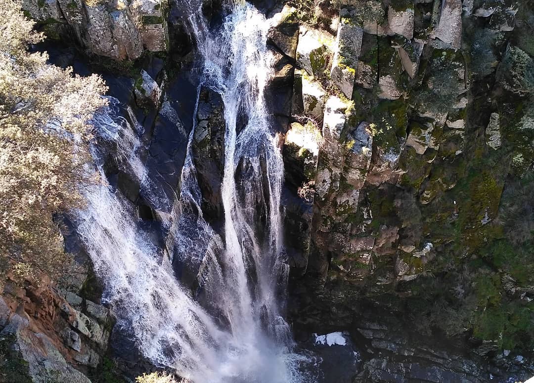 29415689_224451224965745_390913054105141248_n