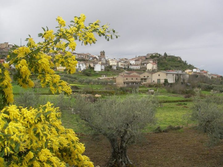 29594459_1832654536769417_7405166741497052840_n