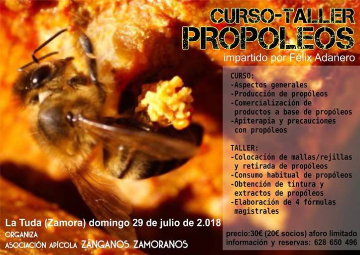 37529668_2104501443142201_2528610387192971264_n