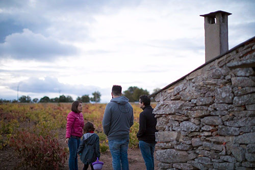 formariz_hatoygarabato