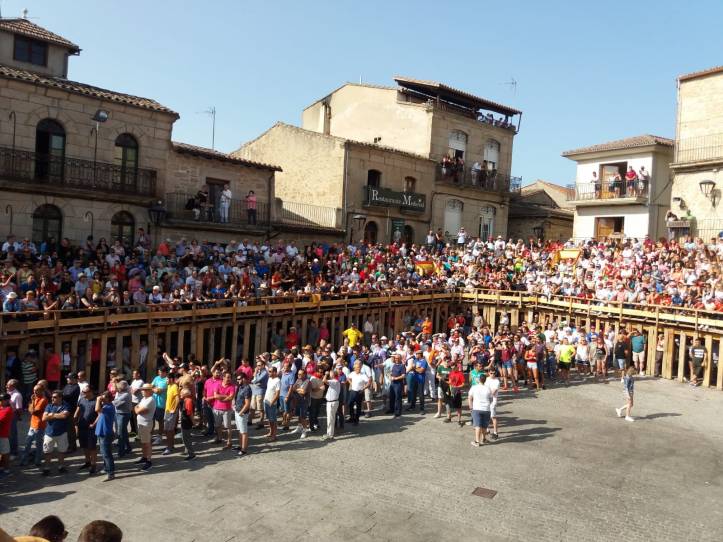 encierro-2008-fermoselle