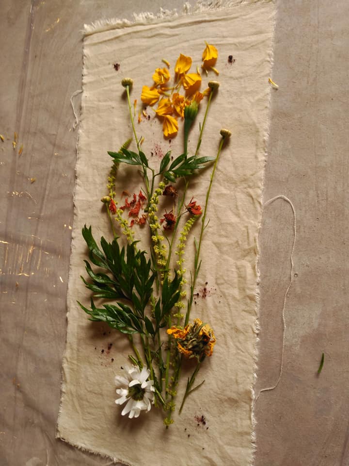 40772601_1075877499256448_8158686069794013184_n