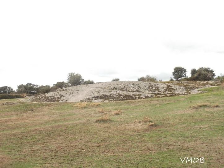 44360651_2237639702935740_7194691182876688384_n