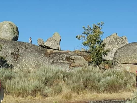 44398747_727419097601338_5758419175240368128_n