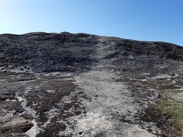 44560362_2199392466986937_522637918662033408_n