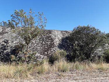 44565544_396362797570317_9176130025118760960_n