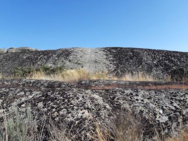 44588082_322527311659702_8126784439993761792_n