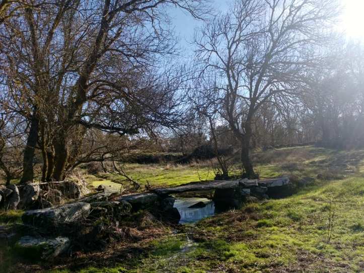 48174238_2169580209962811_8359564778309419008_n