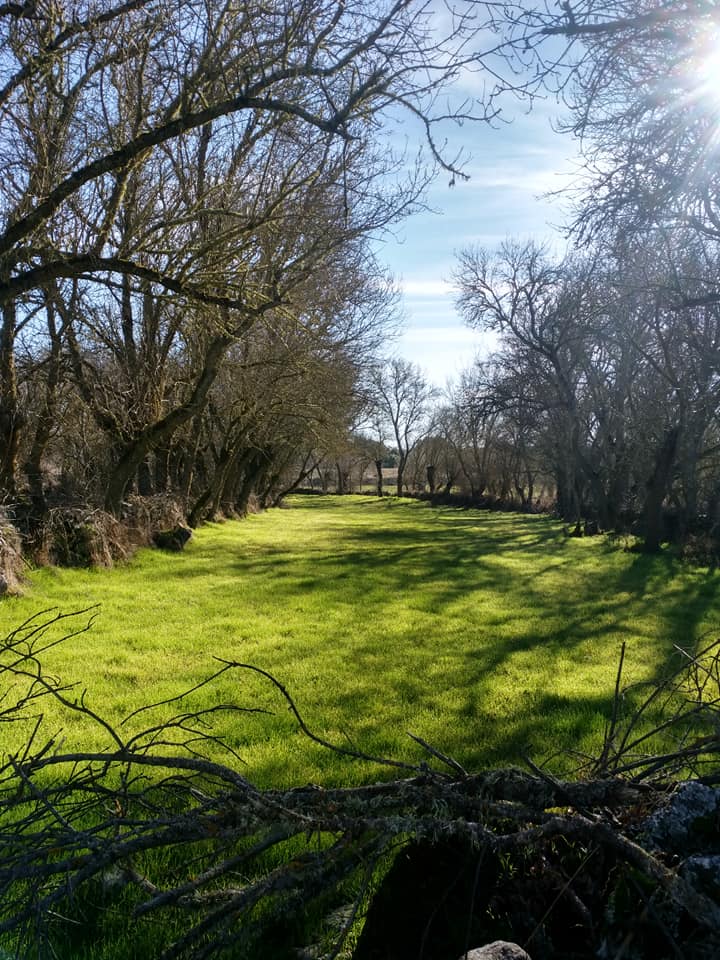 48281445_2169580056629493_1741628449916715008_n