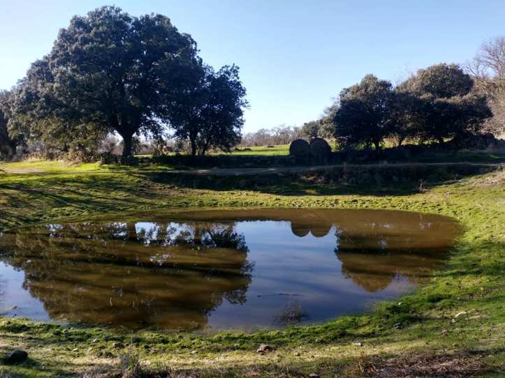 48281856_2169580029962829_8482068532765392896_n