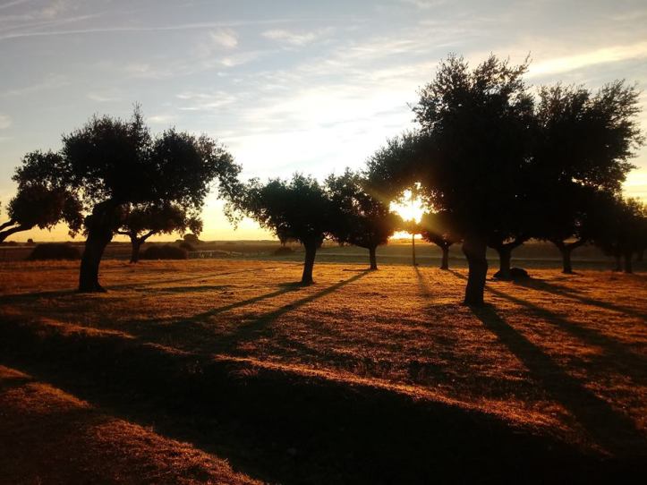 48380548_2231621380195328_8525493534051008512_n