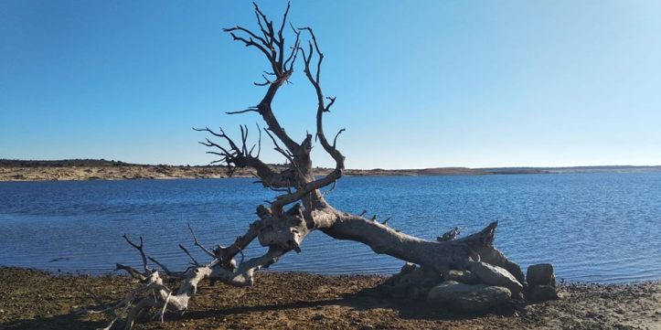 49300552_2270793413244469_4289651960438587392_n