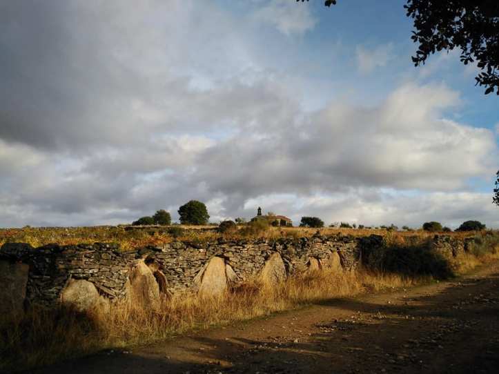 52598996_1180204355490428_7788020243141492736_n