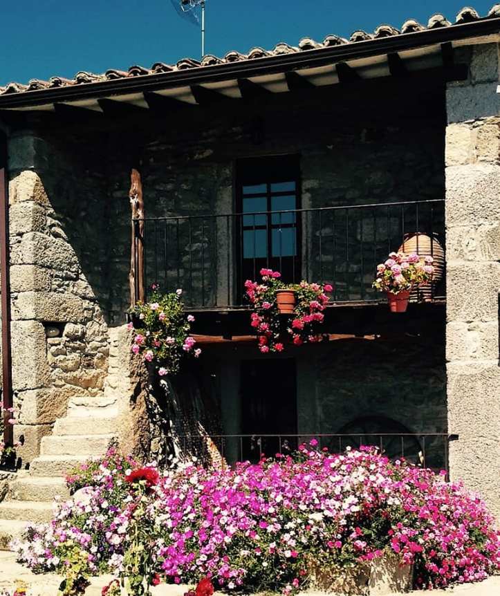 52740060_1180204218823775_6541020997493981184_n