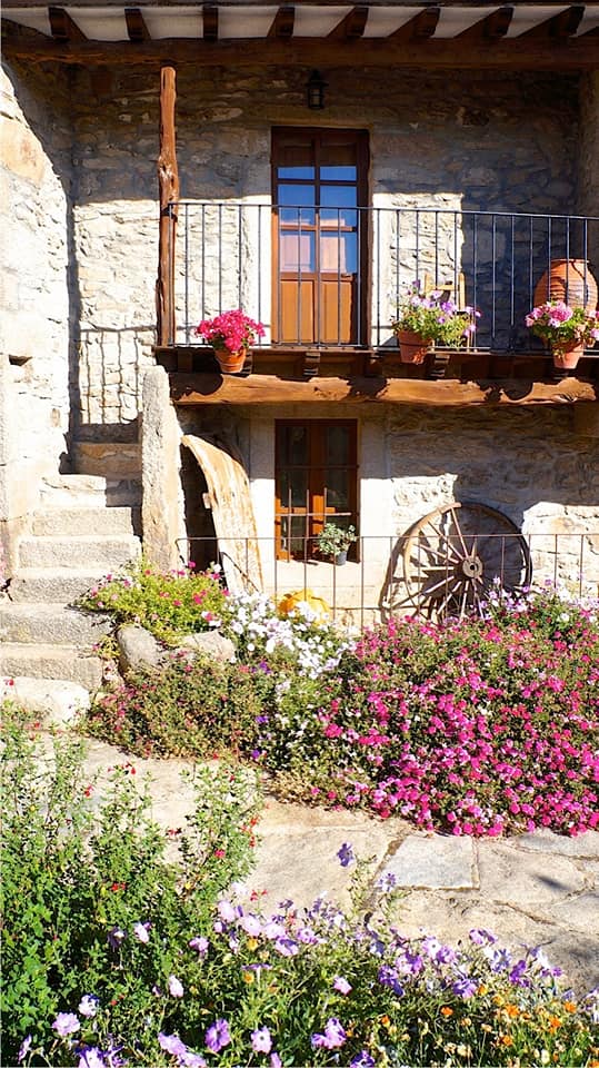 52779895_1180204295490434_8967399454961303552_n