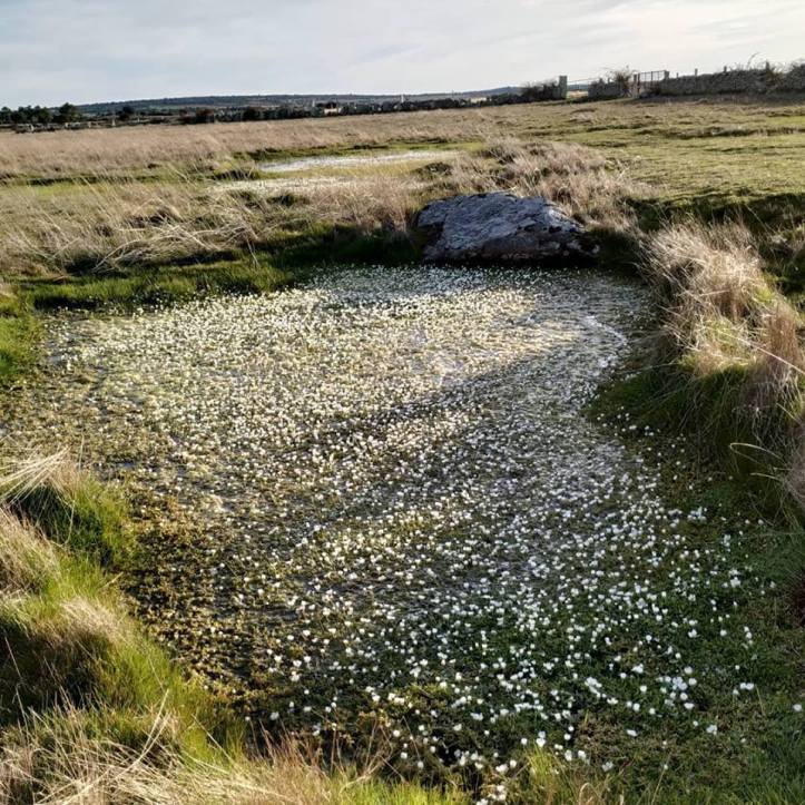 52901666_10213382525622145_9097354810172112896_n