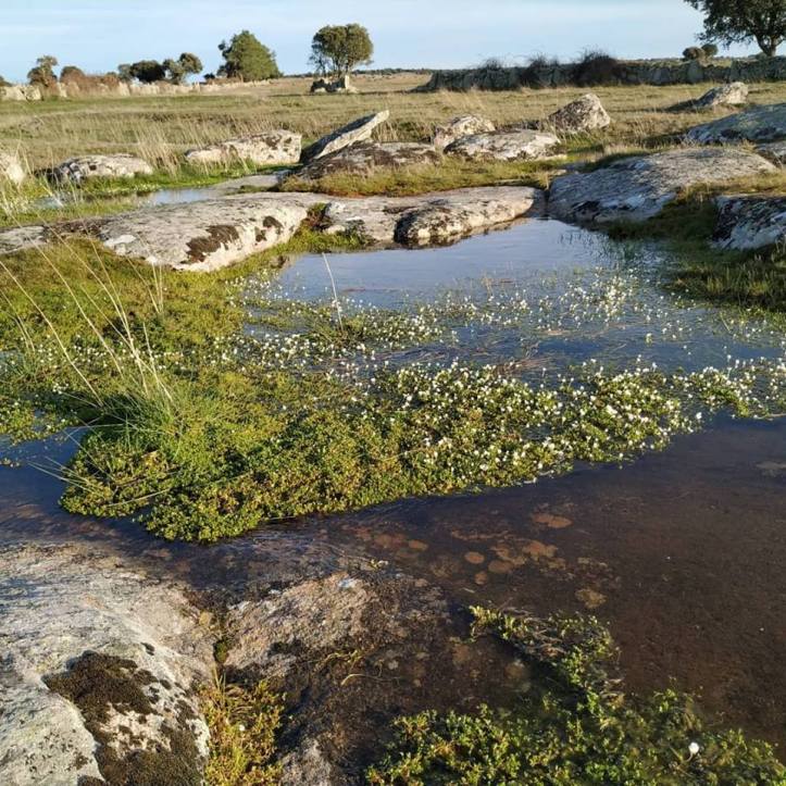 53673278_10213382525942153_8950850211530407936_n