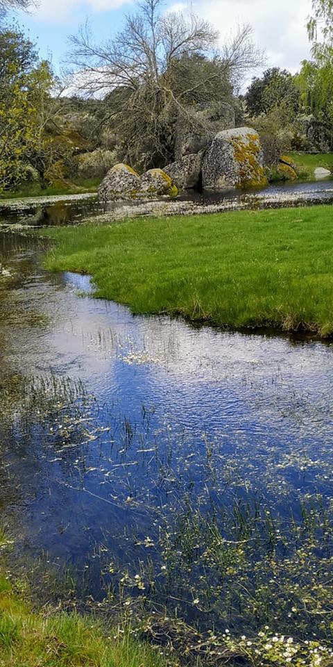 58635804_2351833568419198_5989811788147851264_n