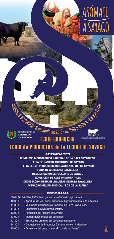 bermillo_asomate_a_sayago