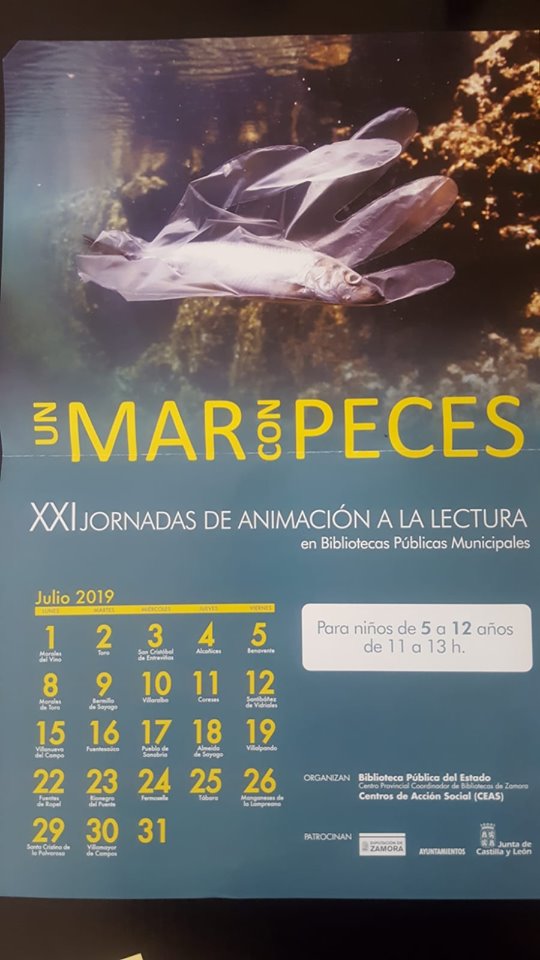 66028399_1876679712431783_4784392000633831424_n