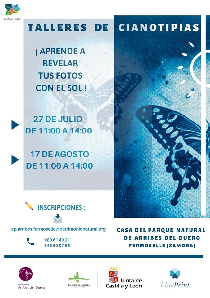 66317125_2109153235877382_5965426995360694272_n