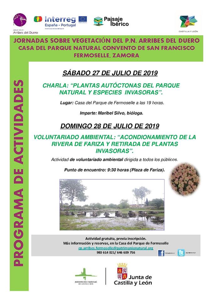 66448009_2124694107656628_2008213505156579328_n