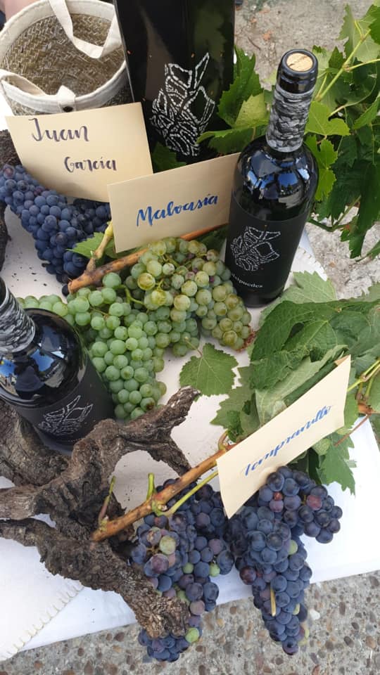 68892844_251521045731006_5761861157736415232_n