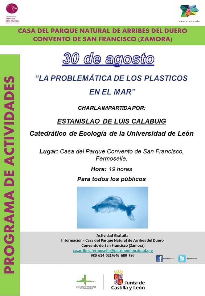 69392226_2208626939263344_6452618085072371712_n