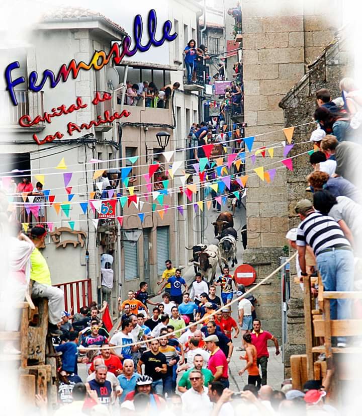 encierro de fermoselle