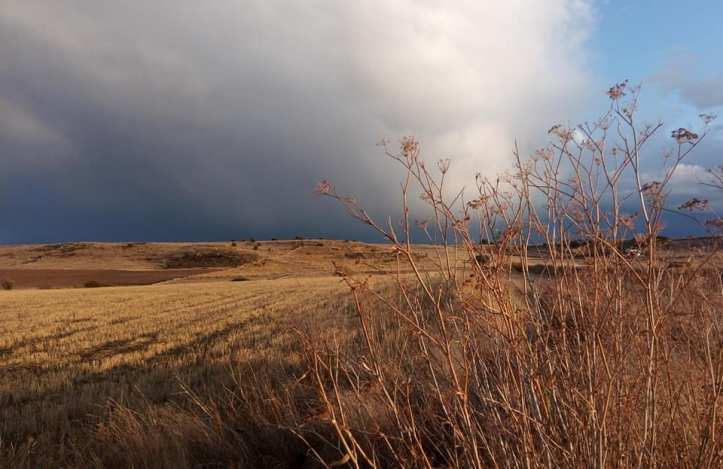 72283550_2274680432641710_7087296277259485184_n