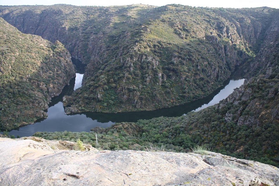 29472622_10211370249759009_4369360261325258752_o