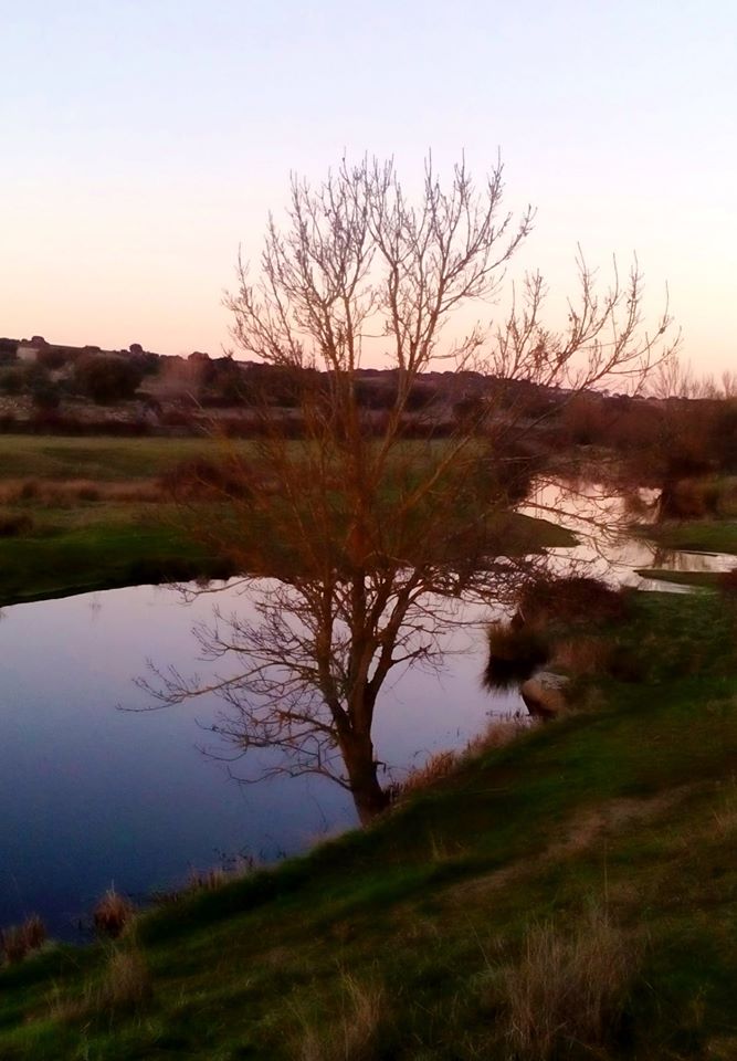 78156494_1183529485169882_662878449236443136_o