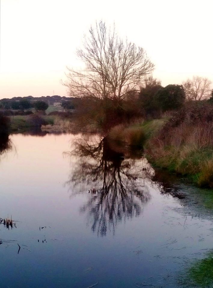 78240944_1183529195169911_218330294510419968_o