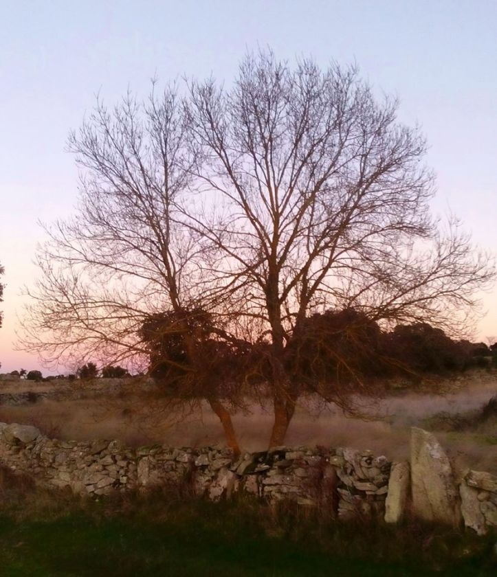 78466544_1183529385169892_5078103506674515968_o