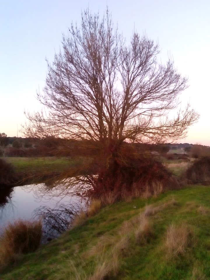 78657358_1183528908503273_1370238045101490176_o