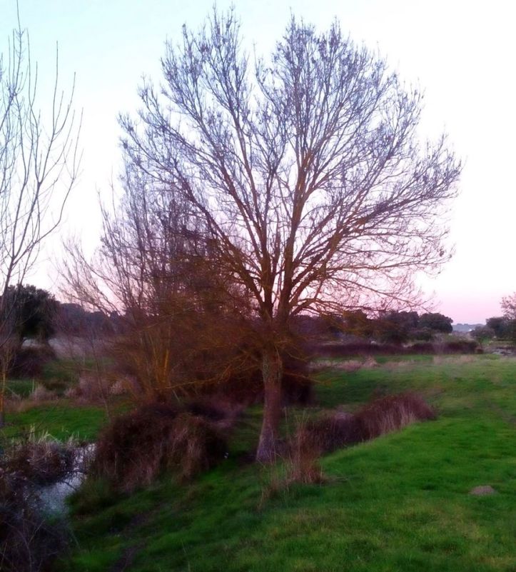 78919910_1183529565169874_505265085187358720_o