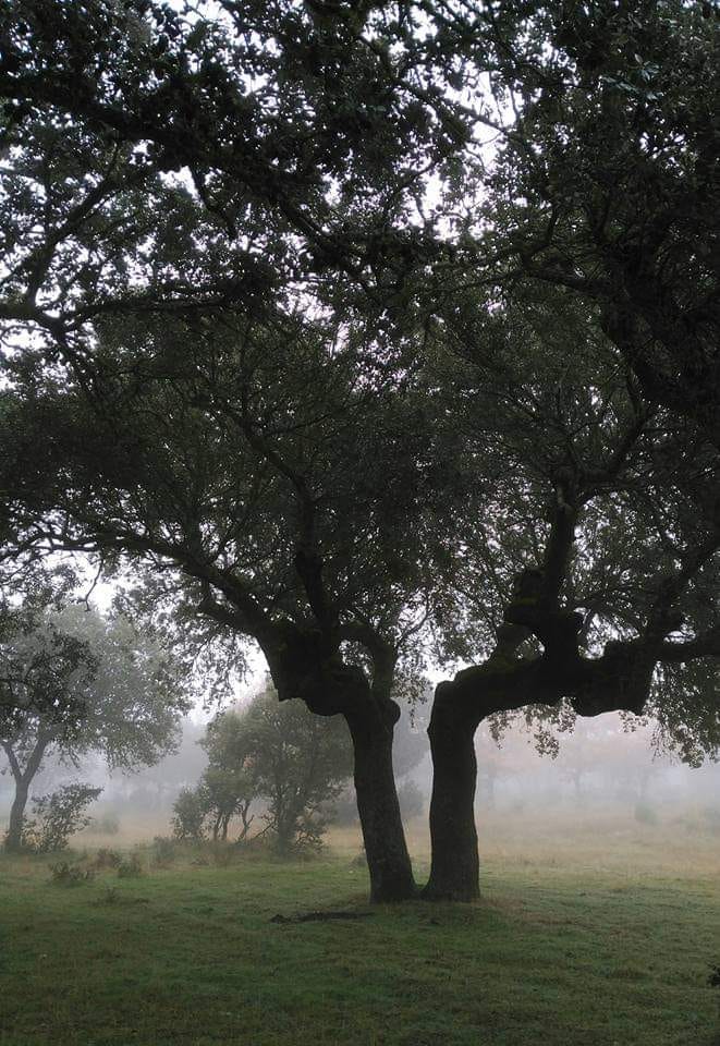 79036684_1401772596666935_3623948251650064384_n