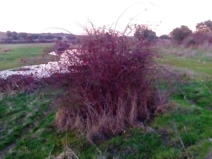 79171057_1183528815169949_986236314930118656_o