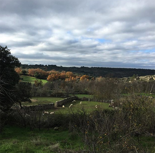 fornillos_instagram_arribes_desde_fornillos