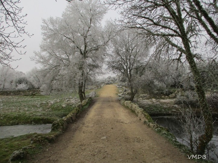 81843194_3059406027425766_7445109551717679104_n